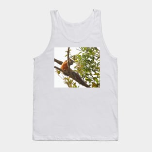 Variegated Squirrel Tank Top